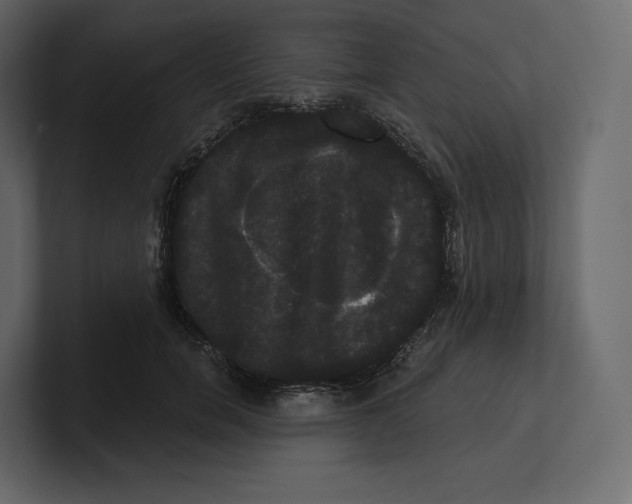 X0000100890750200807151057