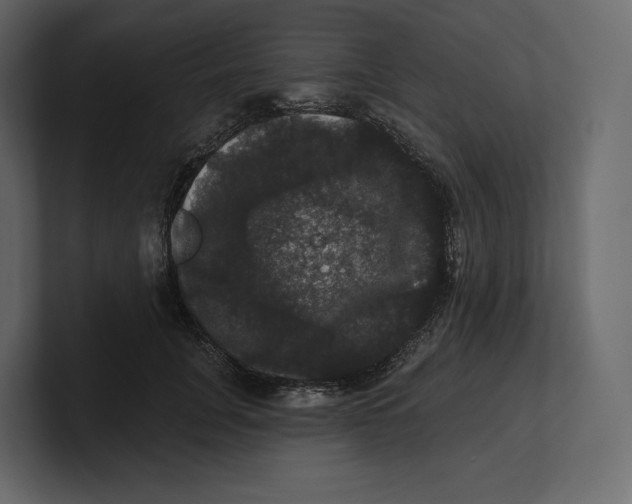 X0000100890751200807151057