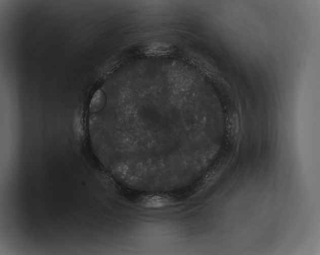 X0000100890755200807151057