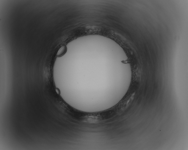 X0000100890756200807151057