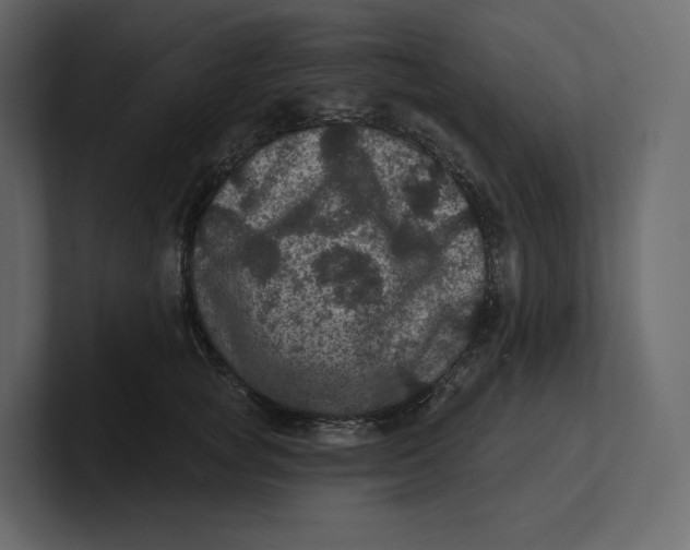 X0000100890757200807151057