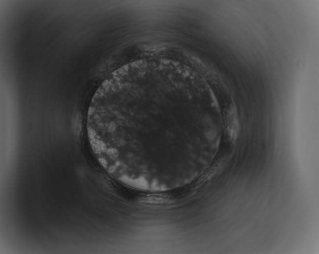 X0000100890758200807151057