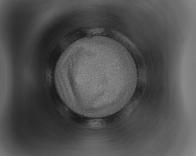 X0000100890761200807151057