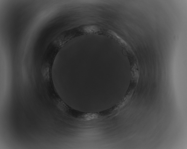 X0000100890762200807151057