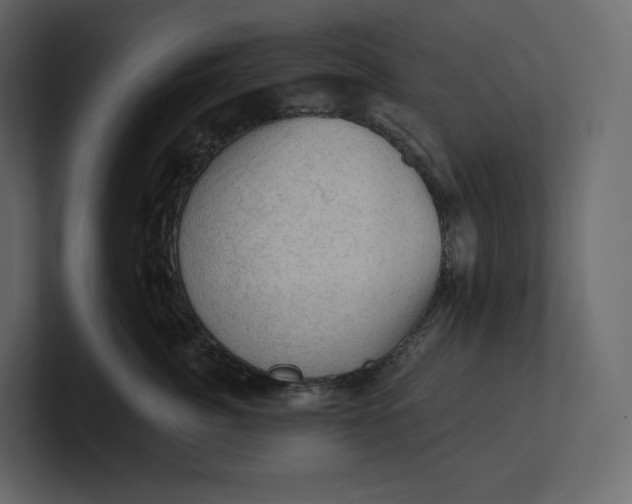 X0000100890764200807151057