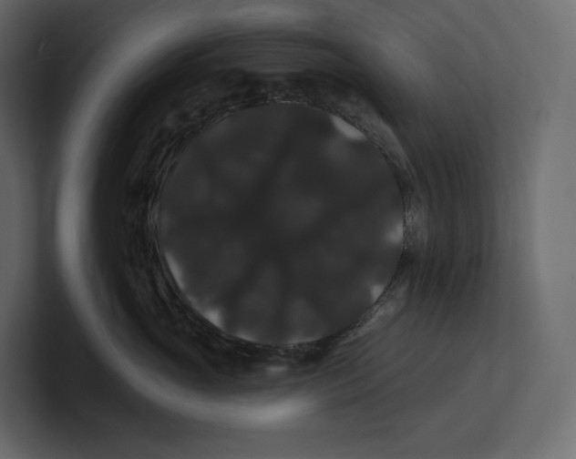 X0000100890765200807151057