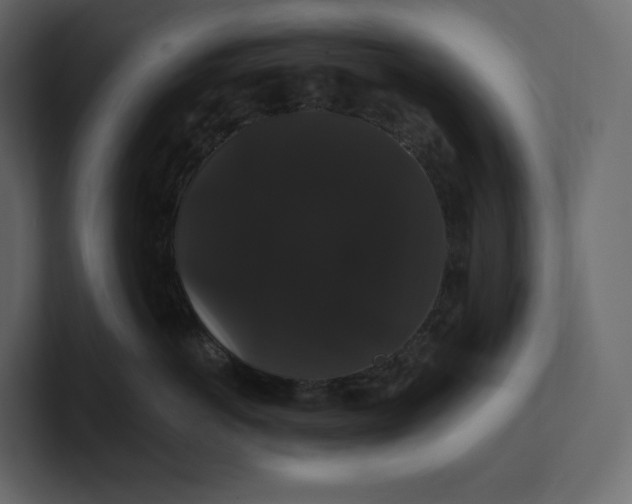 X0000100890766200807151057