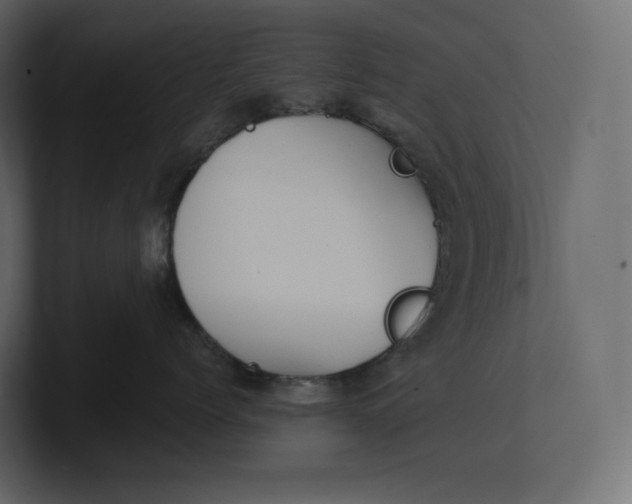 X0000100890768200807151057