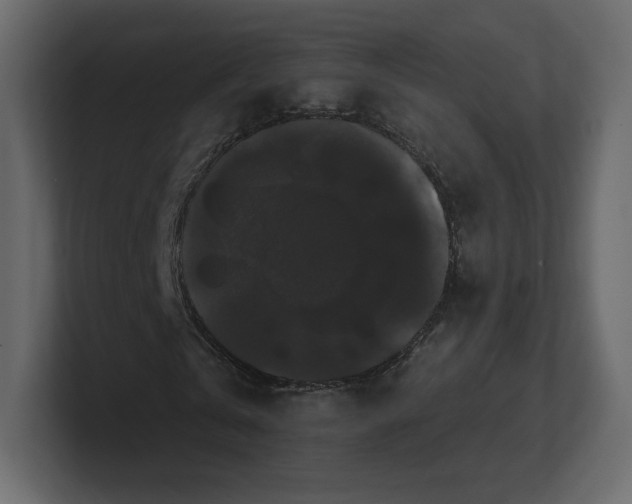 X0000100890769200807151056