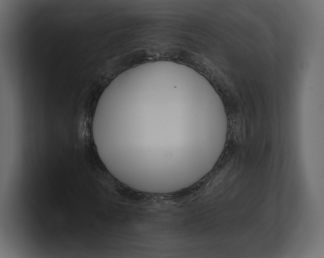 X0000100890770200807151056