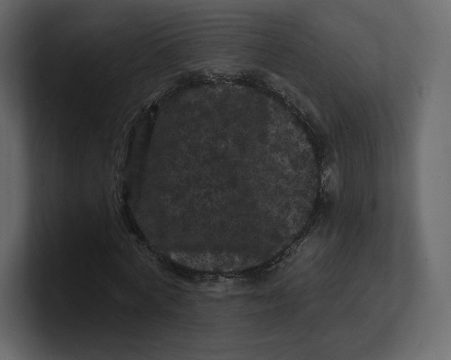 X0000100890772200807151056