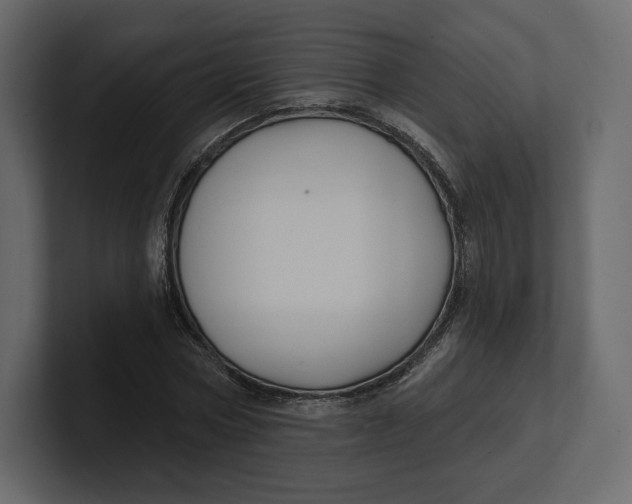 X0000100890778200807151056