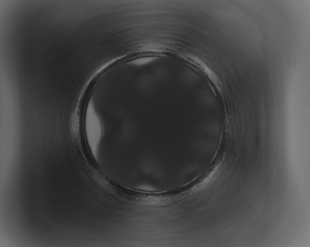 X0000100890779200807151056