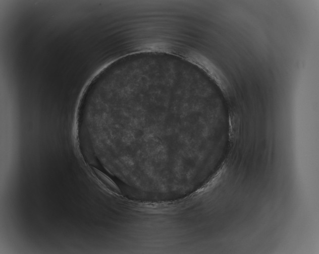 X0000100890780200807151056