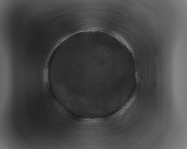 X0000100890781200807151056