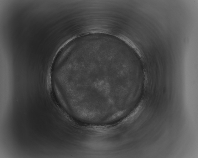 X0000100890782200807151056