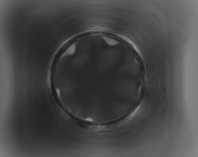 X0000100890783200807151056