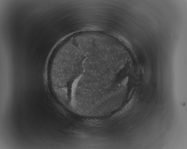 X0000100890784200807151056