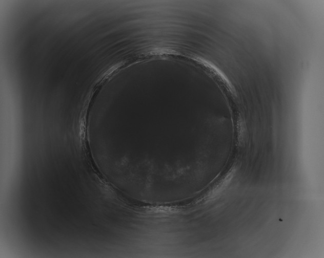 X0000100890785200807151056