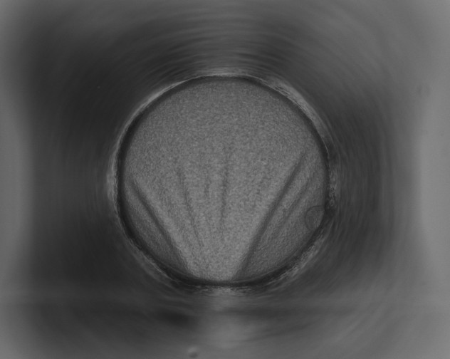 X0000100890787200807151056