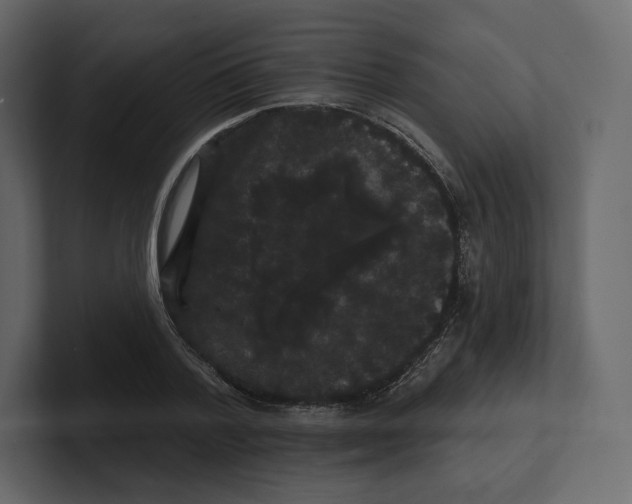 X0000100890788200807151056