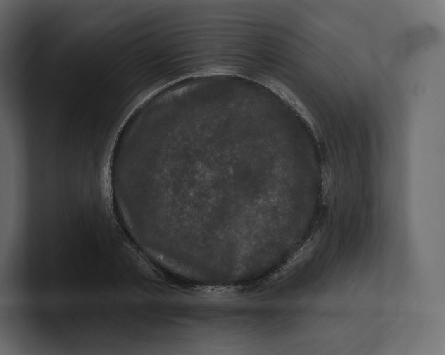 X0000100890789200807151056