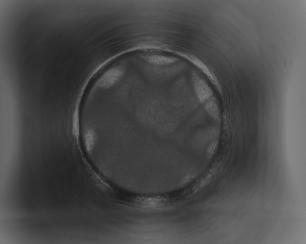 X0000100890791200807151056