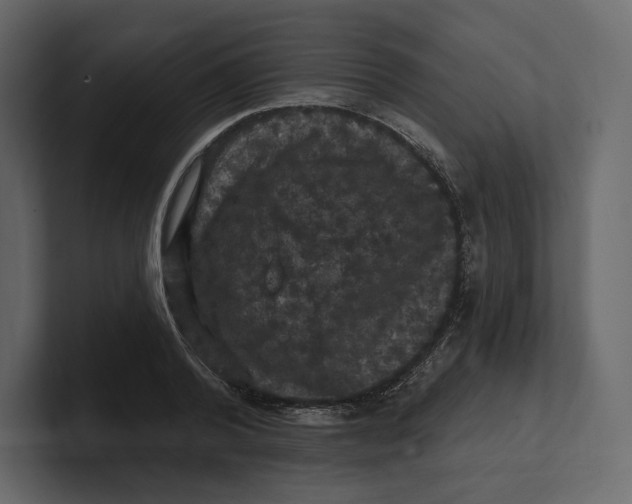 X0000100890792200807151056