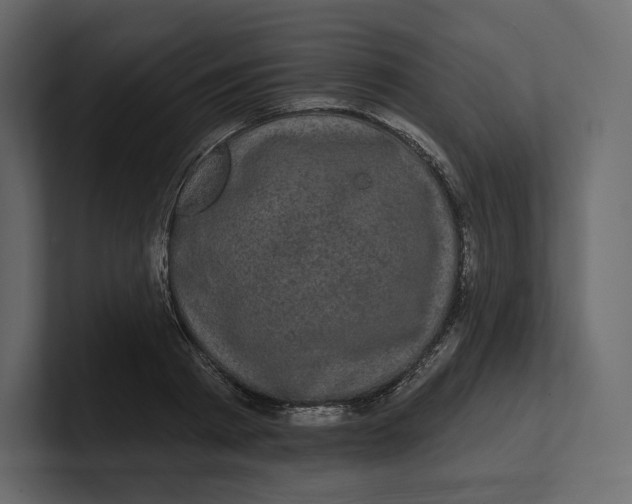 X0000100890793200807151056