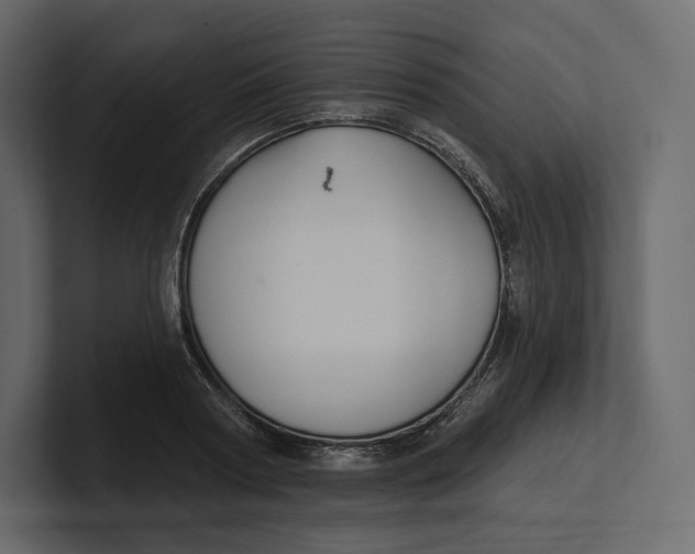 X0000100890794200807151056