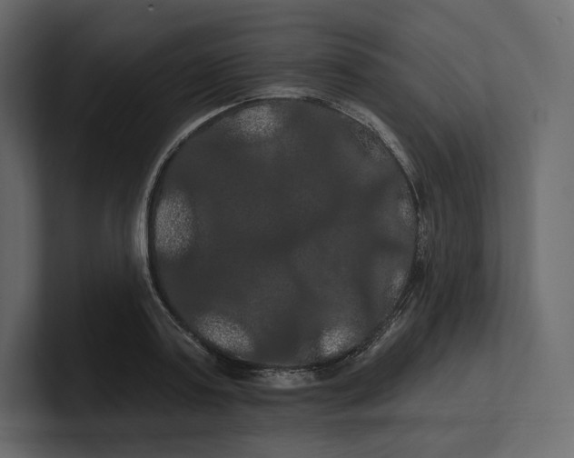 X0000100890795200807151056