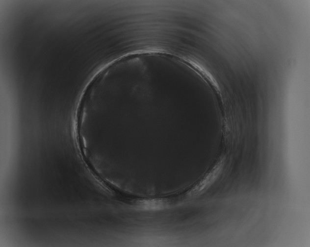 X0000100890797200807151056