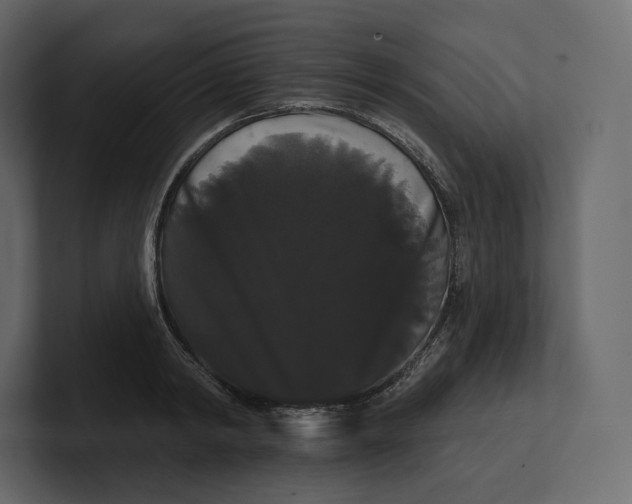 X0000100890798200807151056