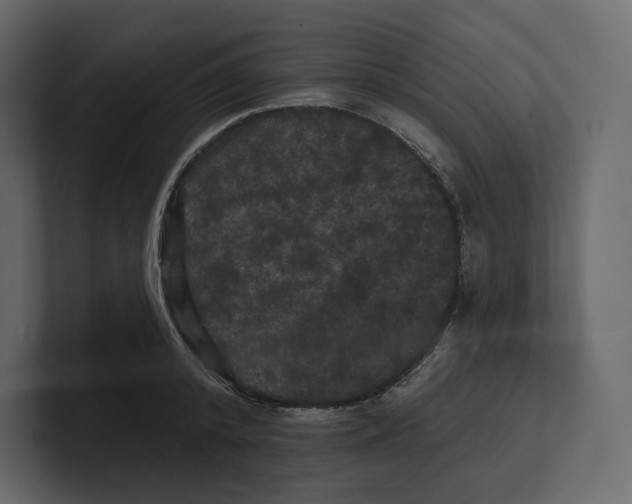 X0000100890800200807151056