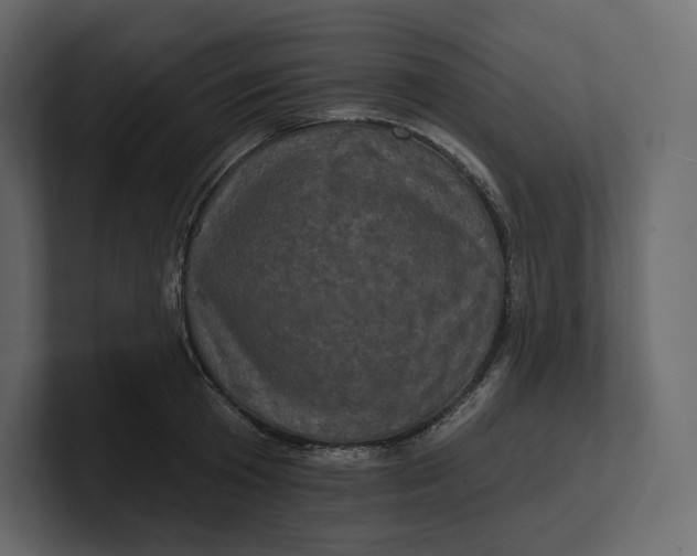 X0000100890801200807151056