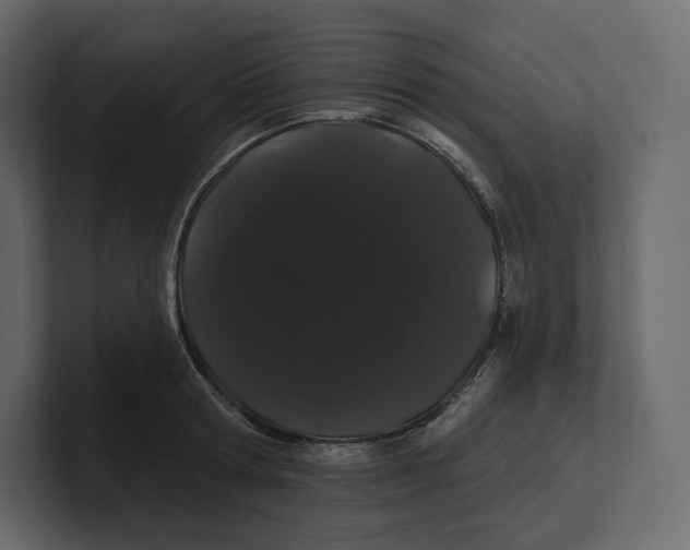 X0000100890802200807151056