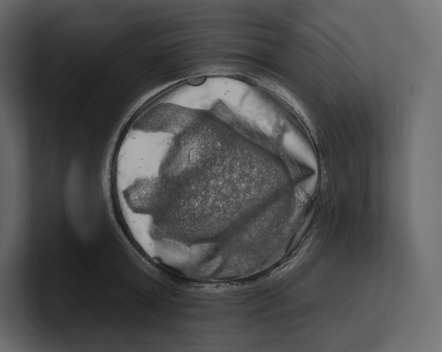 X0000100890803200807151056