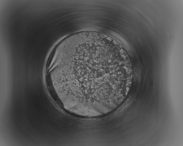 X0000100890804200807151056