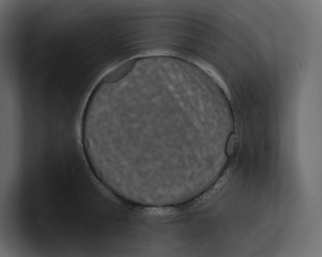 X0000100890805200807151056