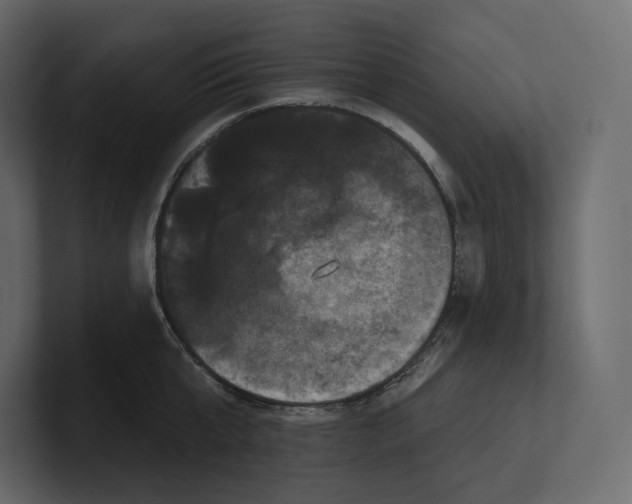 X0000100890807200807151056