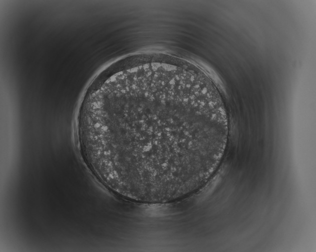 X0000100890808200807151056