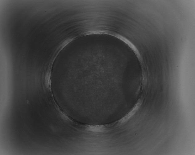 X0000100890809200807151056