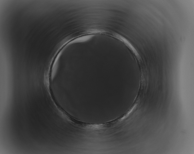 X0000100890810200807151056