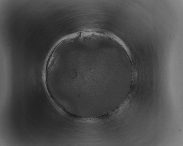 X0000100890811200807151056