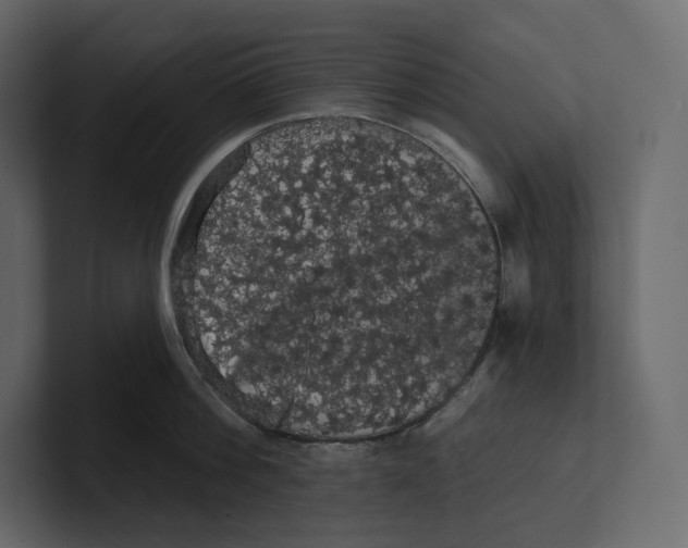 X0000100890812200807151056