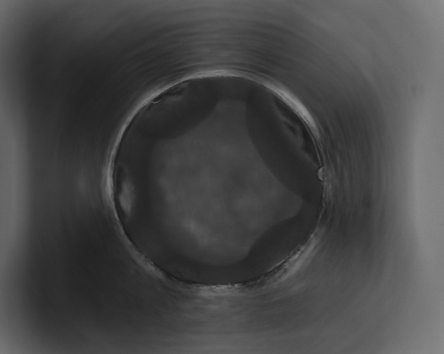 X0000100890813200807151056