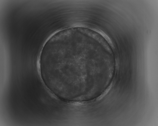 X0000100890814200807151056