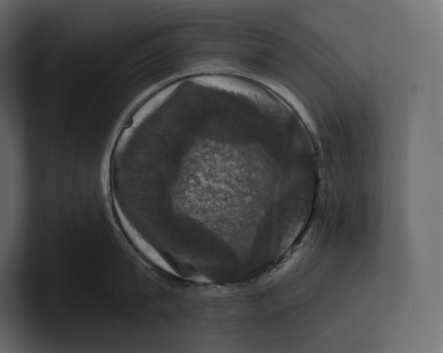 X0000100890815200807151056