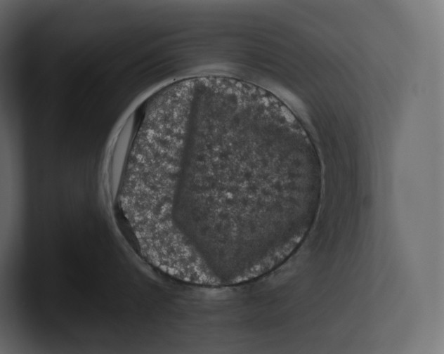 X0000100890816200807151056