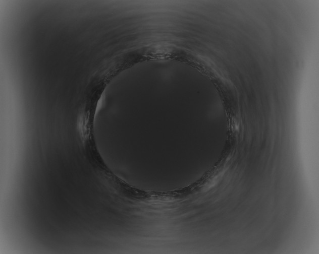 X0000100890818200807151055